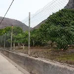 Appartamento Apt. Passiflora 1b *